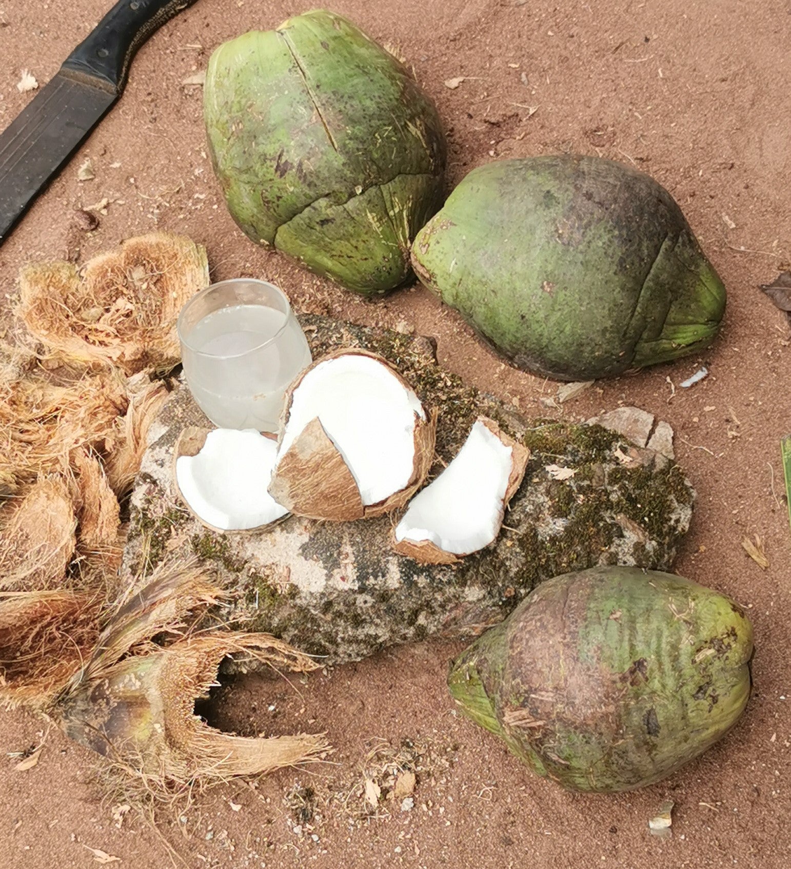 SUPER-FOOD & MORE From My Travel Blog