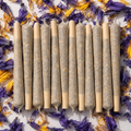 10 King Size Serenity Puffs – 100% Thailand Blue Lotus Flower Pre-Rolls (Nymphaea caerulea) | Tobacco & Nicotine Free | Experience Calmness & Tranquillity (Copy)