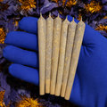20 King Size Serenity Puffs – 100% Thailand Blue Lotus Flower Pre-Rolls (Nymphaea caerulea) | Tobacco & Nicotine Free | Experience Calmness & Tranquillity
