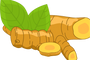 Turmeric Curcumin